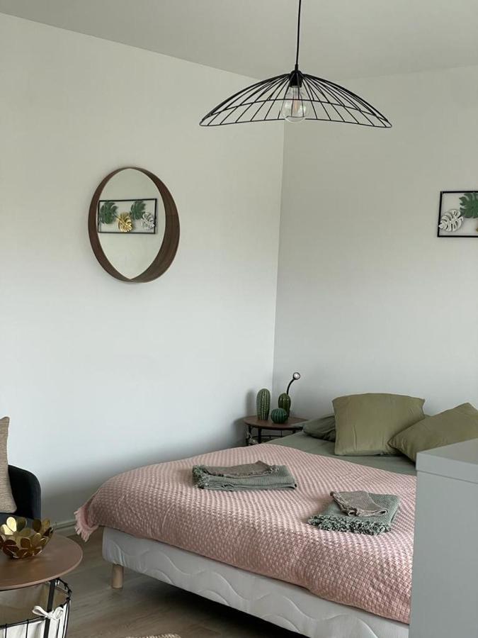 Studio T A 5Mn Euro Airport Avec Terrasse แซ็ง-ลุยส์ ภายนอก รูปภาพ