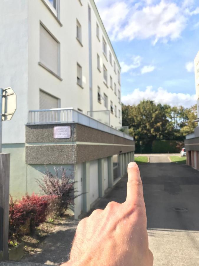Studio T A 5Mn Euro Airport Avec Terrasse แซ็ง-ลุยส์ ภายนอก รูปภาพ